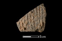 陶片藏品圖，第1張